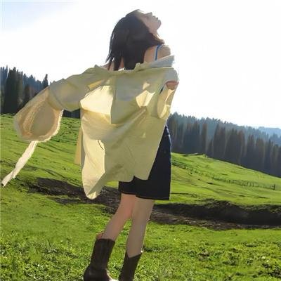 七虎断魂枪
