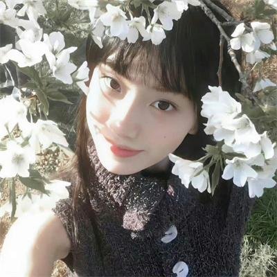 小镇猪事